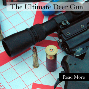 Nov11.jpg - 162331 Bytes