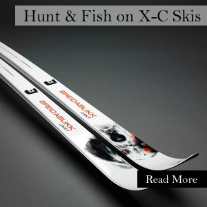 Oct.5.jpg - 55802 Bytes