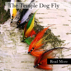 Templedog.jpg - 118251 Bytes